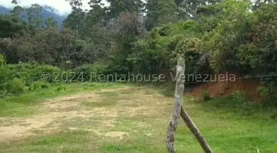 Terreno (Residencial) en Venta en Pie del Tiro, Merida - 5