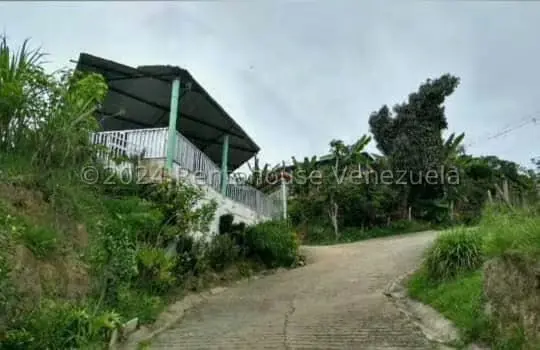 Terreno (Residencial) en Venta en Pie del Tiro, Merida - 7