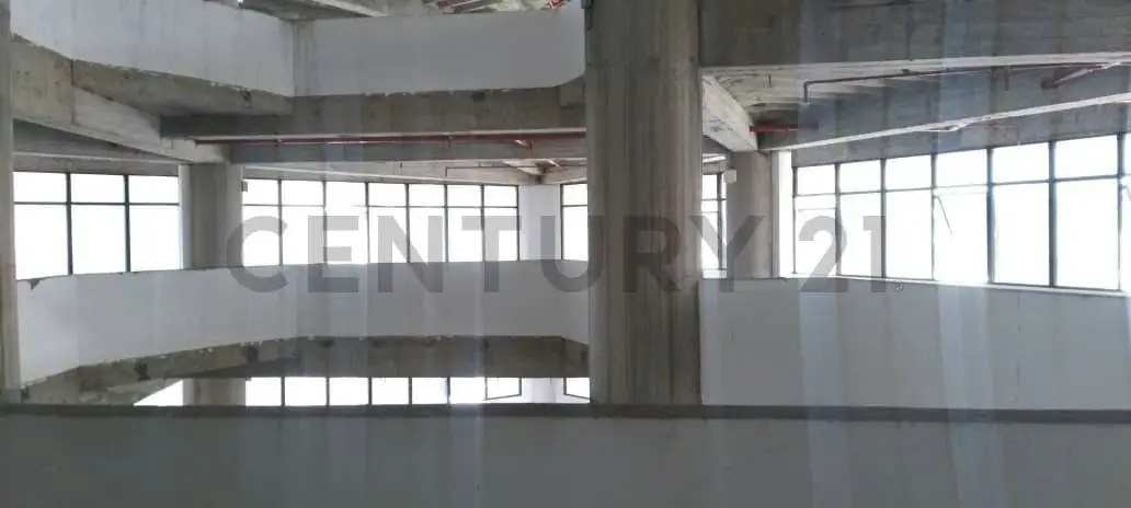 Amplias Oficinas en edficio con moderno diseño arquitectónico - 6