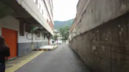 Vista 6