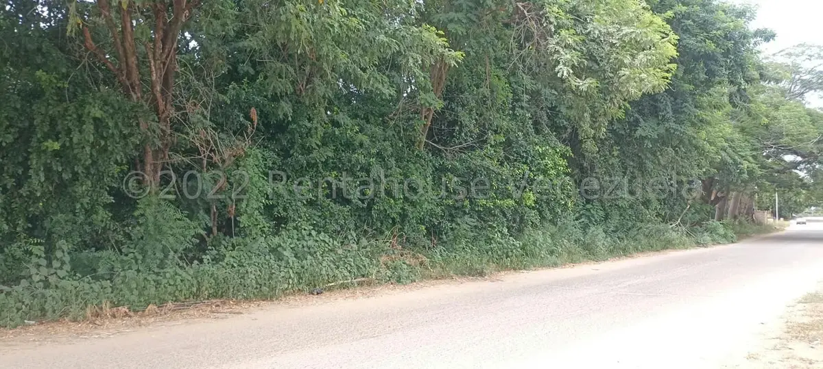 Terreno (Comercial) en Venta en Los Bucares, Zulia - 2