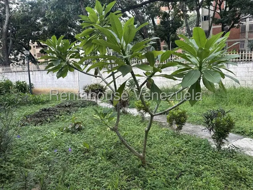 Apartamento (1 Nivel) en Venta en Montalban I, Distrito Metropolitano - 29