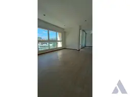 Vista 22