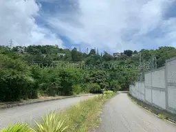 View 6