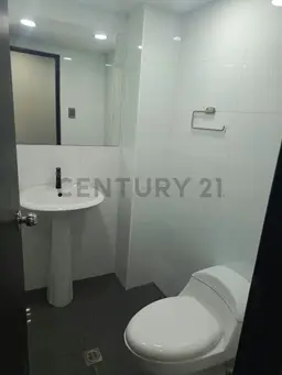 Vista 11