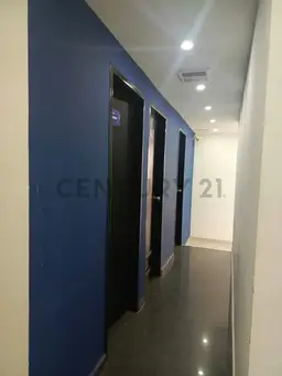 Vista 9