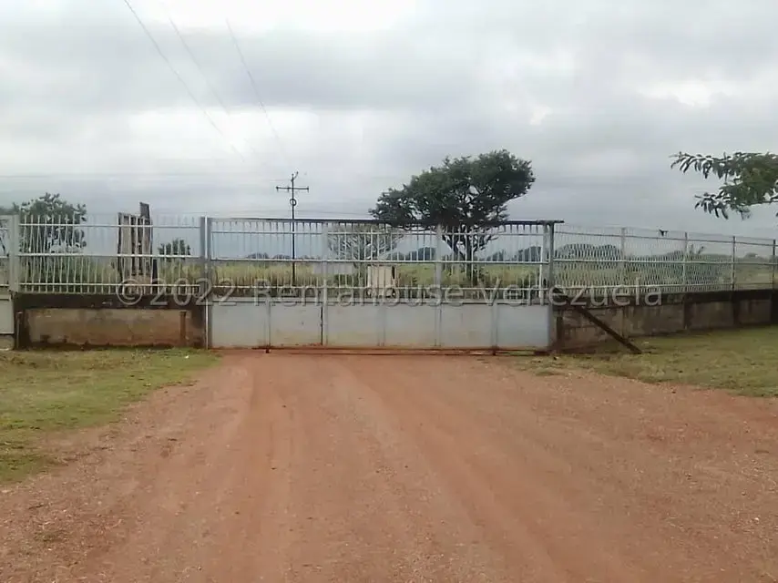 Galpon - Deposito en Venta en Cantaclaro, Cojedes - 11