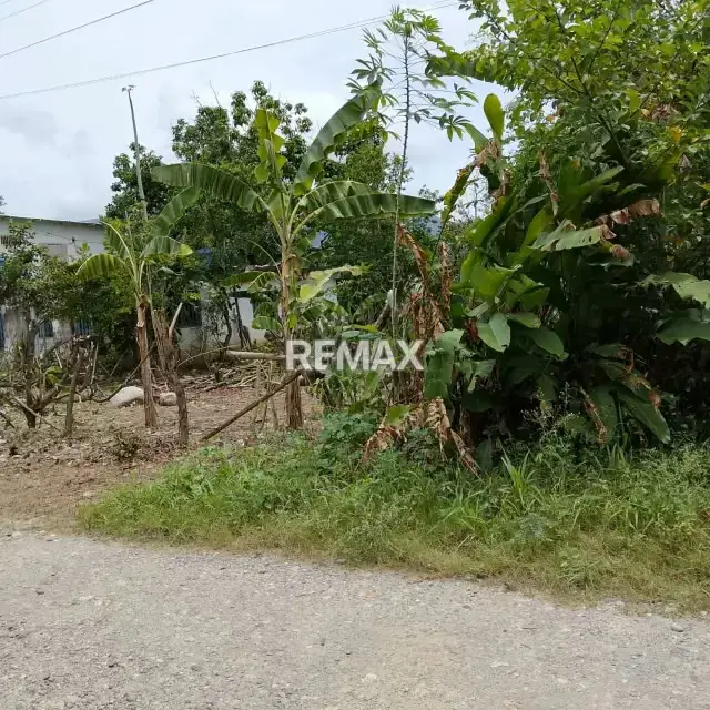 VENTA DE TERRENO UBICADO EN CARVAJAL ESTADO TRUJILLO
