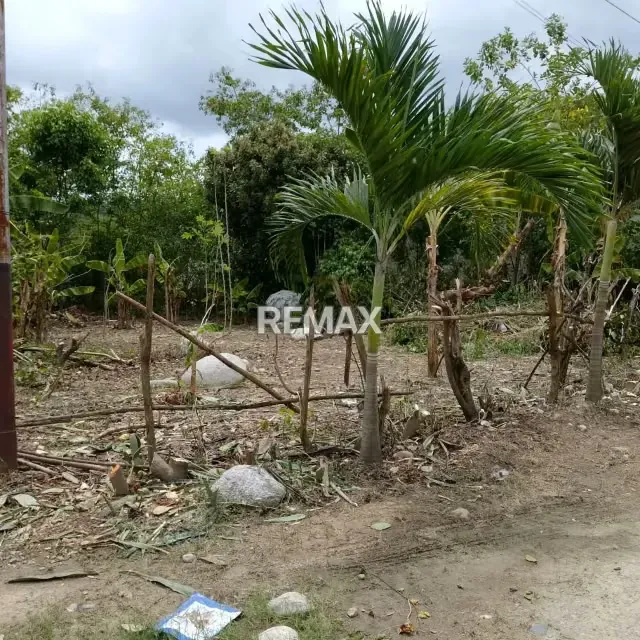 VENTA DE TERRENO UBICADO EN CARVAJAL ESTADO TRUJILLO - 2