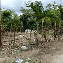 View 2