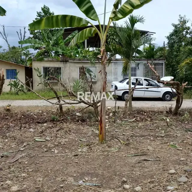 VENTA DE TERRENO UBICADO EN CARVAJAL ESTADO TRUJILLO - 4