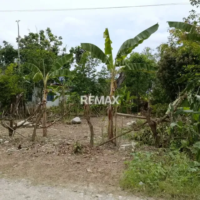VENTA DE TERRENO UBICADO EN CARVAJAL ESTADO TRUJILLO - 5
