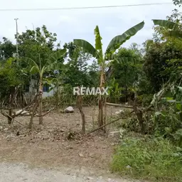 View 5