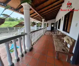 View 19