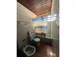 Vista 24