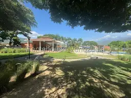 View 41