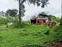 View 1