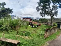 View 3