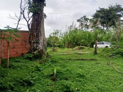 Casa de campo con amplio terreno para proyecto urbanístico - 5