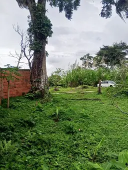 View 5