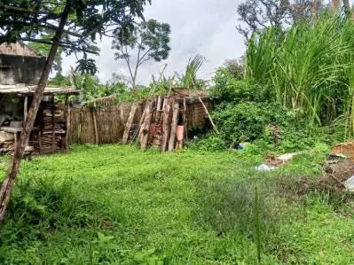 Casa de campo con amplio terreno para proyecto urbanístico - 9