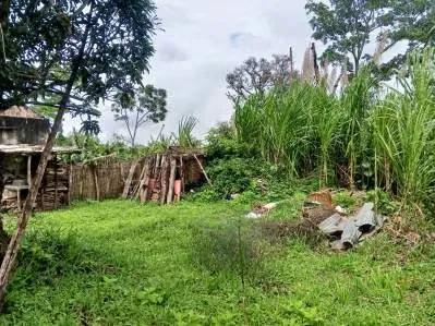 Casa de campo con amplio terreno para proyecto urbanístico - 10