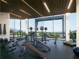 Vista 11
