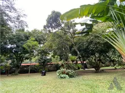 View 18