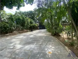 View 19