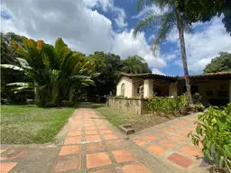 View 10