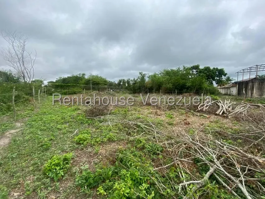 Terreno (Comercial) en Venta en El Placer, Lara - 18