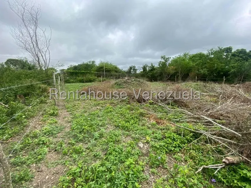 Terreno (Comercial) en Venta en El Placer, Lara - 19