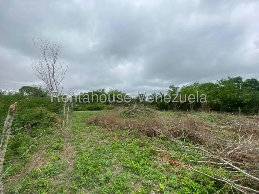 Terreno (Comercial) en Venta en El Placer, Lara - 20