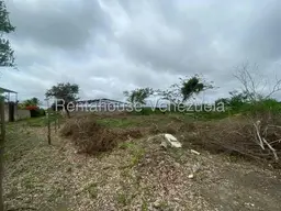 View 29