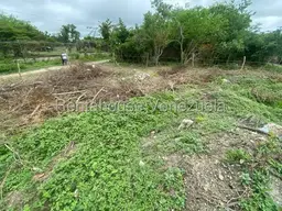 View 10