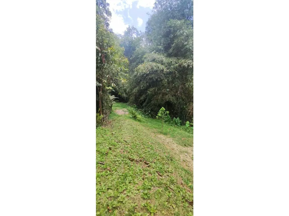 Vendo casa 350m2 Oripoto 0059 - 5