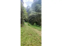 Vista 5