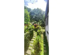 Vista 10