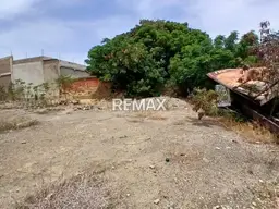 Vista 3