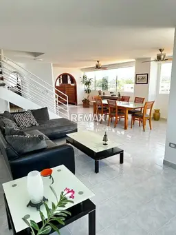 Vista 6