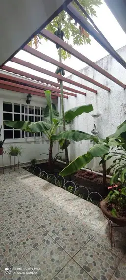 Vista 5