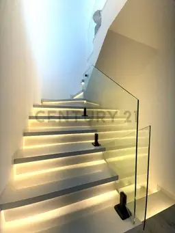 Vista 5