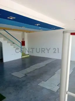 Vista 5