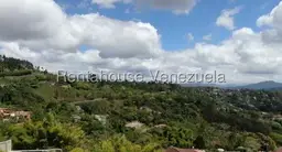 View 1