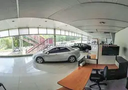 Vista 5