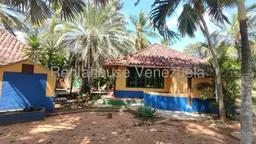Vista 13