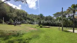 Vista 18