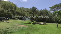 Vista 19