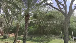 Vista 10
