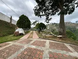 Vista 36
